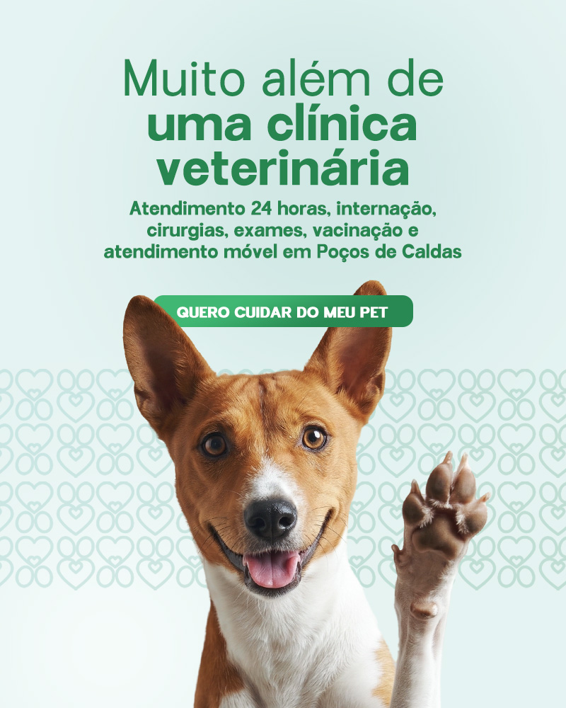 CAPA MOBILE